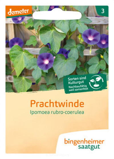 Produktfoto zu Prachtwinde