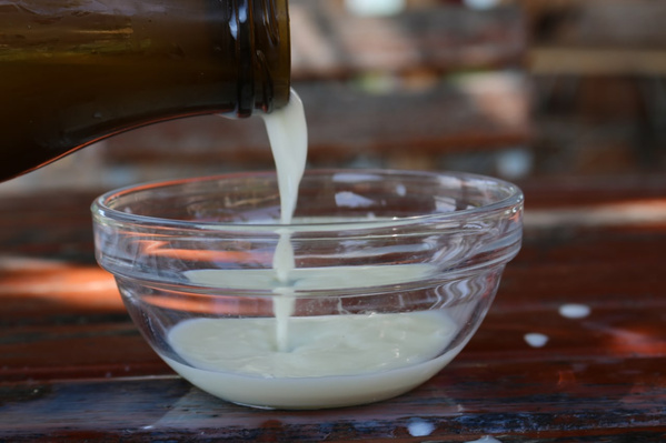 Im Bild wird aus einer Flasche Milch in eine Glasschale gefüllt. 