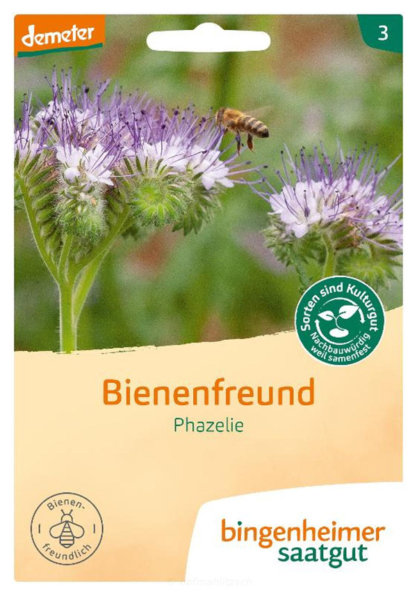 Produktfoto zu Bienenfreund Phazelie