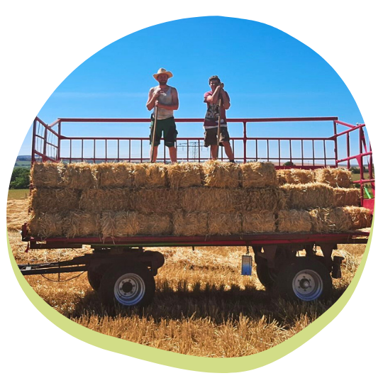 Jung & Alt - ein Mitarbeiter und Lehrling bei der Arbeit