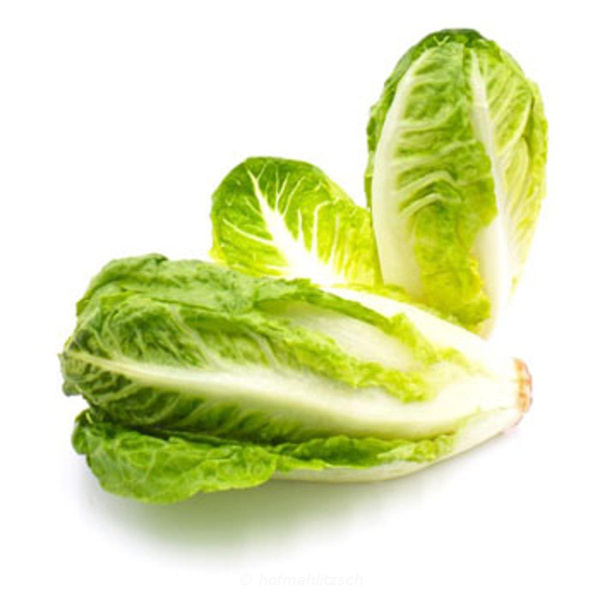 Produktfoto zu Mini Romana Stück