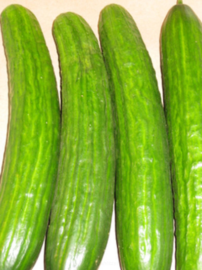 Produktfoto zu Saucentomaten (Mahl.)