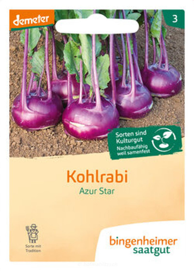 Produktfoto zu Kohlrabi - Azur Star