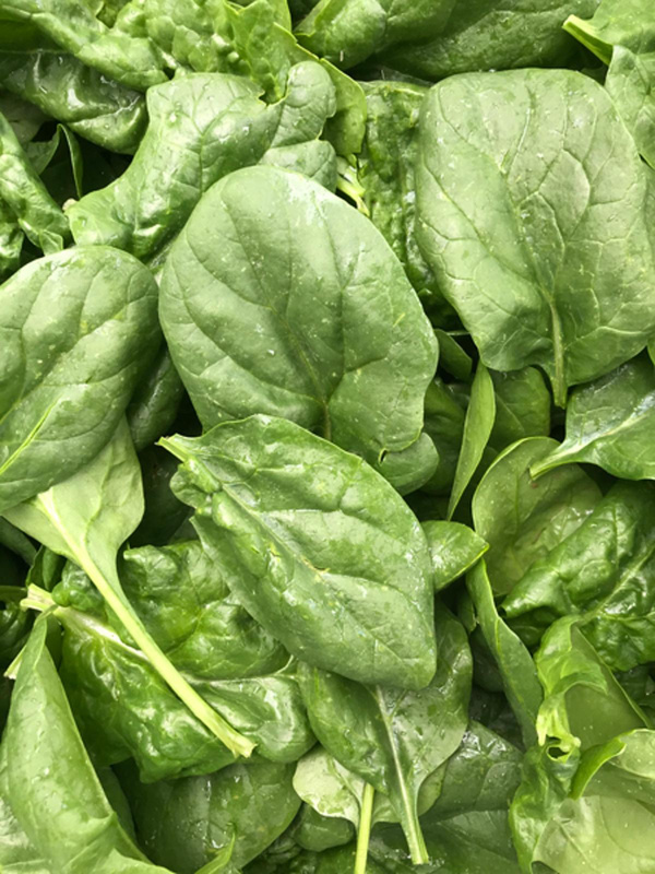 Produktfoto zu Spinat Baby Leaf