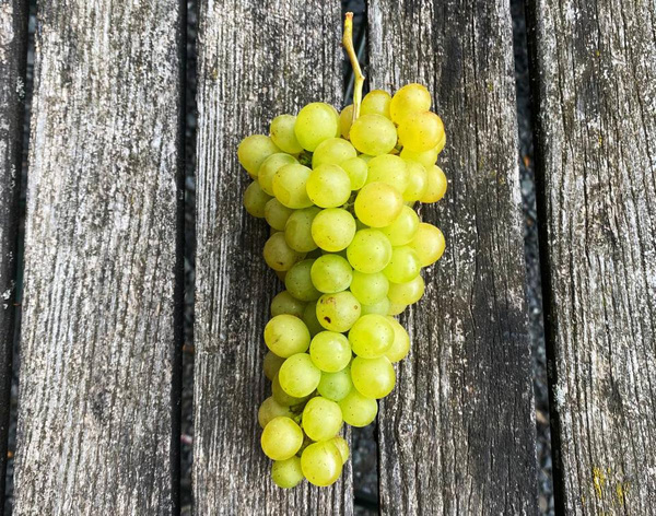 Produktfoto zu Trauben weiß