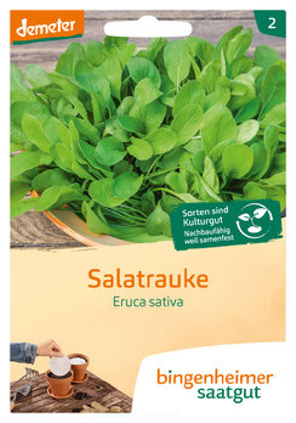 Produktfoto zu Salatrauke - Saatscheibe