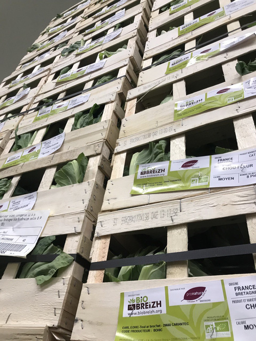 KI generiert: Holzkisten mit Gemüse, etikettiert mit "BIO BREIZH". Text: www.biobreizh.org, EARL L'ÉOHIC, 29660 CARANTEC.