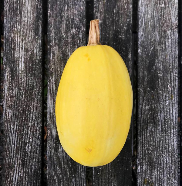 Produktfoto zu Spaghetti-Kürbis