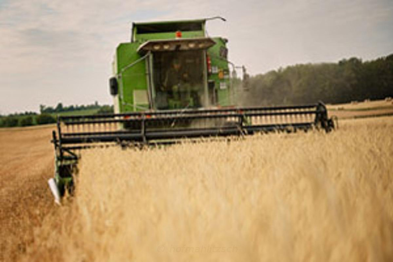 Mahlitzscher Mehl & Getreide