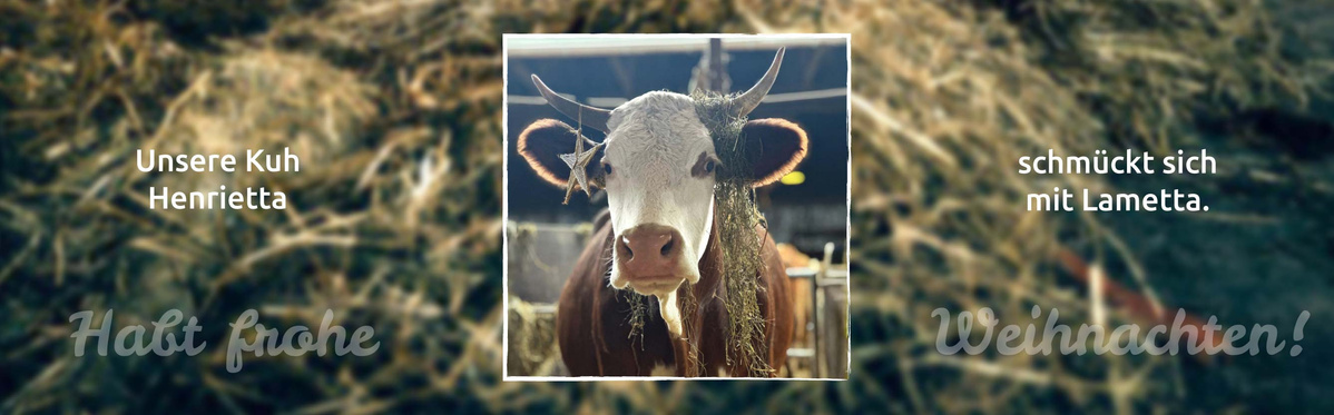 Einladung zur GlühweinNacht mit Bio-Glühwein und Mahlitzscher Grillkost am 28. November ab 16 Uhr.