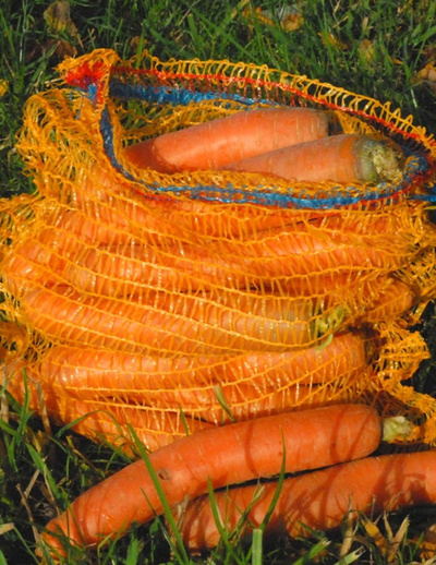 Produktfoto zu Sack 5 kg Möhren (Mahl.)