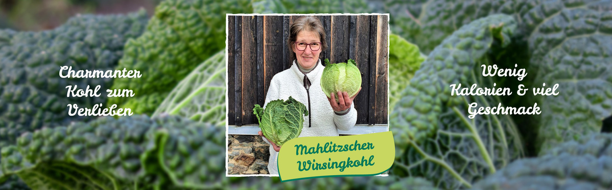 Silke aus der Packscheune von Hof Mahlitzsch präseniert den Mahlitzscher Wirsingkohl. Ab jetzt in der Ökokiste erhältlich.