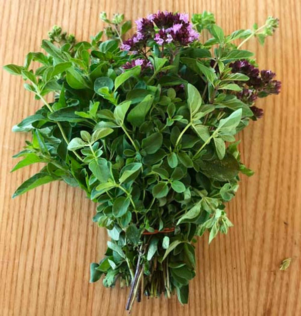 Produktfoto zu Oregano