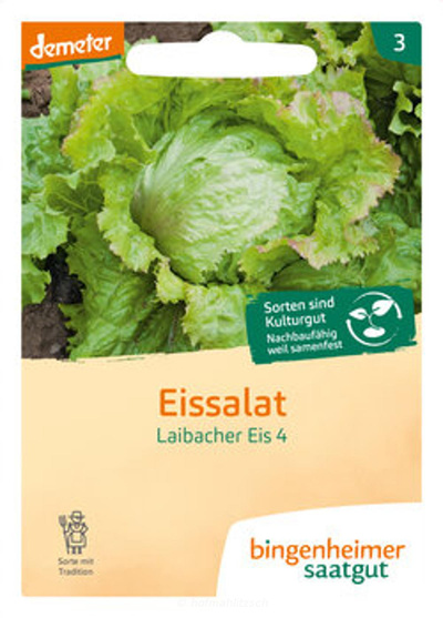 Produktfoto zu Eissalat - Eisbergsalat