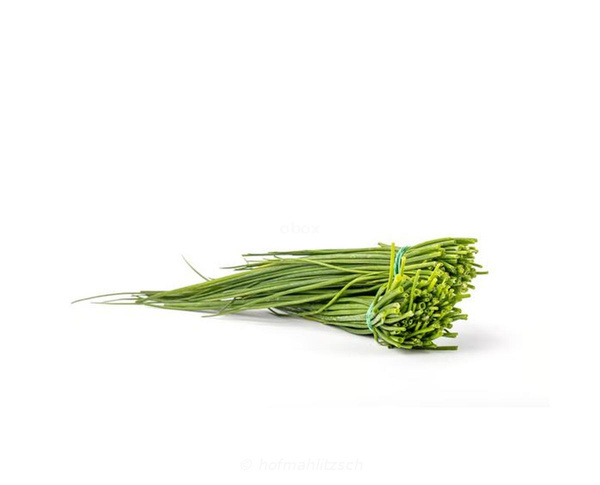 Produktfoto zu Schnittlauch Bund
