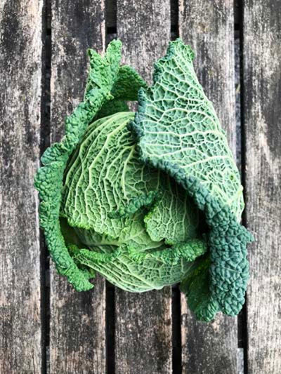 Produktfoto zu Wirsingkohl - zum Aktionspreis
