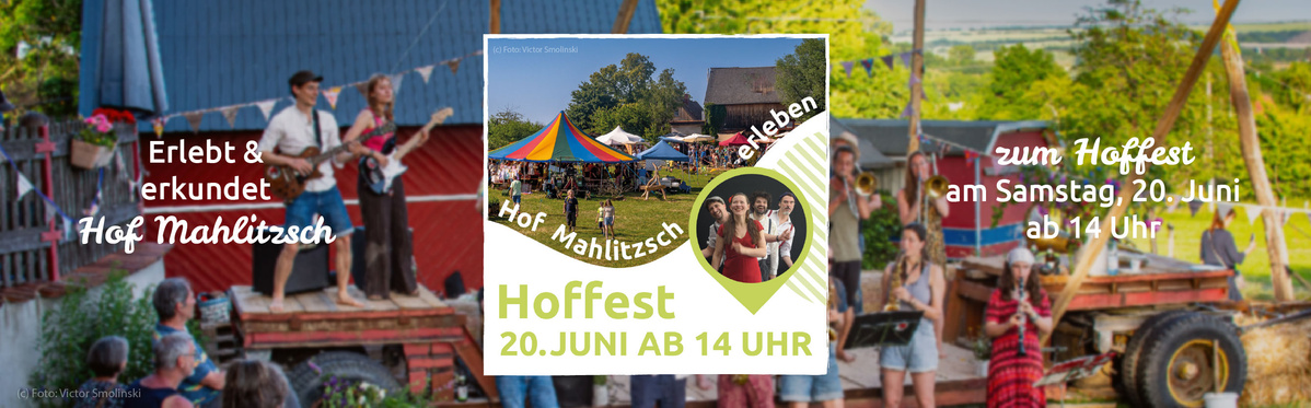 Frische Gurken: Regional & gut geschüttelt: Mahlitzscher Schüttelgurken.