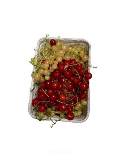 Produktfoto zu Johannisbeeren Mix rot & weiß