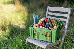 Produktfoto zu Regiokiste