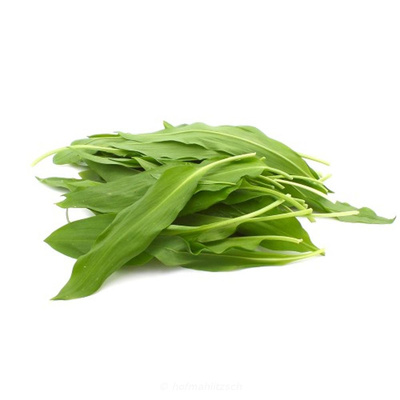 Produktfoto zu Bärlauch Bund