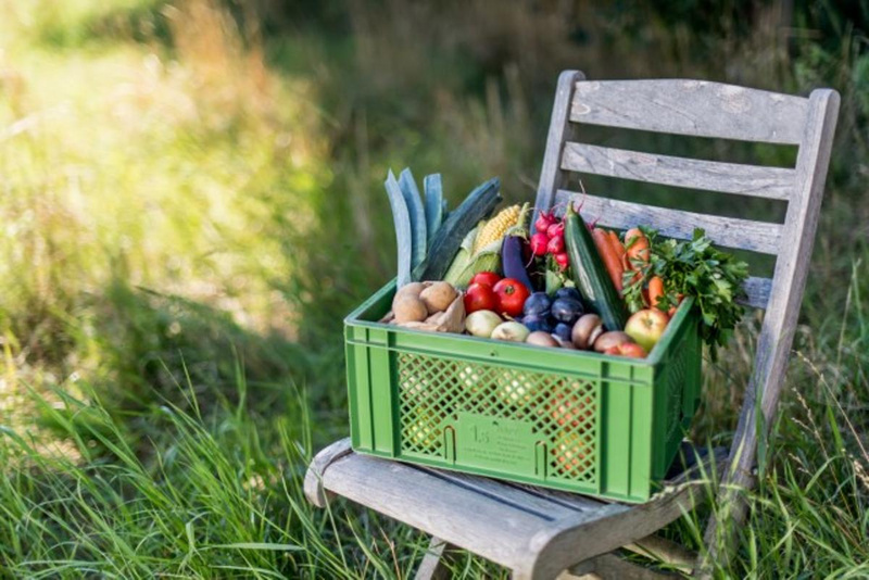 Ökokisten Obst & Gemüse