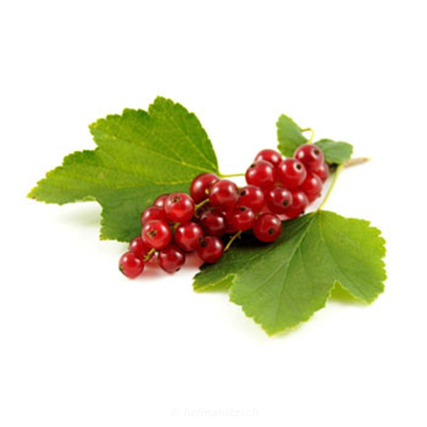 Produktfoto zu Johannisbeeren rot